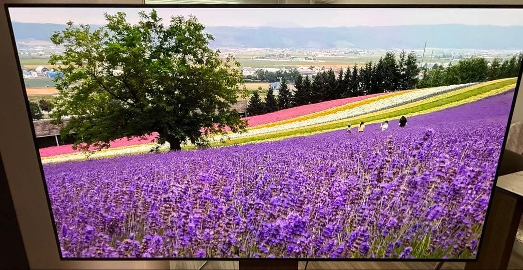 【OLED】有機EL 65インチ OLED65CXPJA
