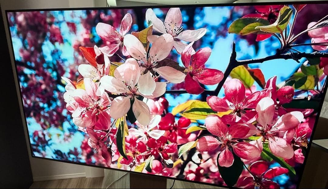 【OLED】有機EL 65インチ OLED65CXPJA