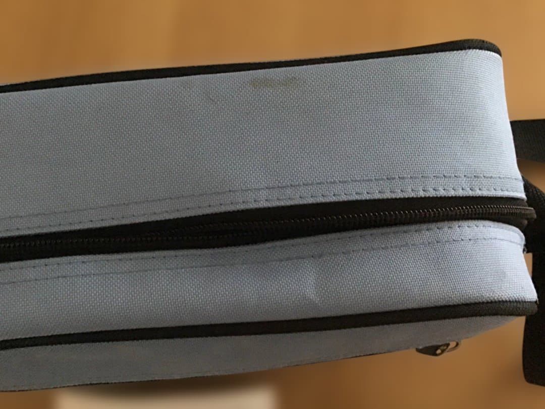 Panasonic HDC-SD250 ビデオカメラ 本体　充電器無しで良ければ