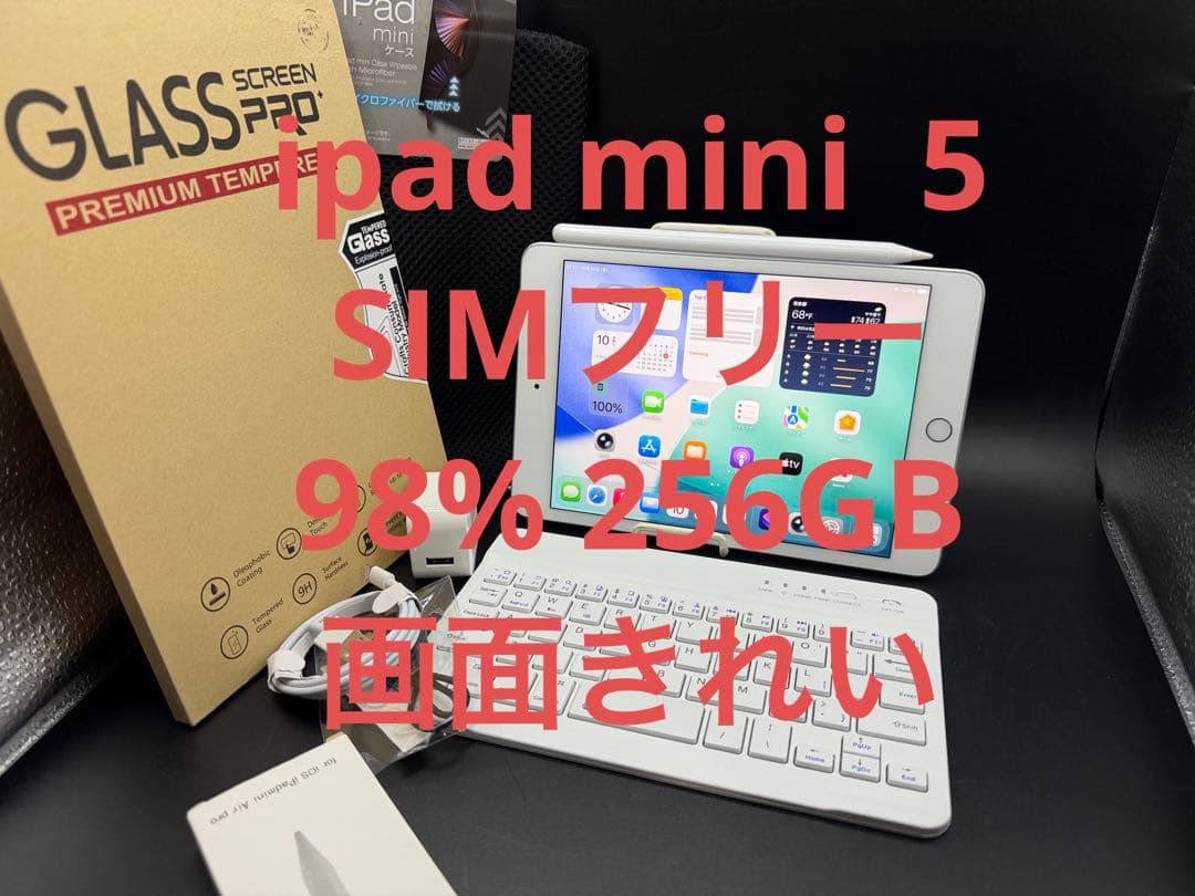 Miuさん専用98%256GBSIMフリーiPadmini5画面きれいペンシル