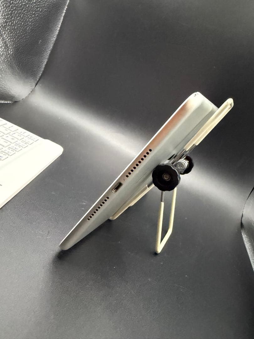 Miuさん専用98%256GBSIMフリーiPadmini5画面きれいペンシル