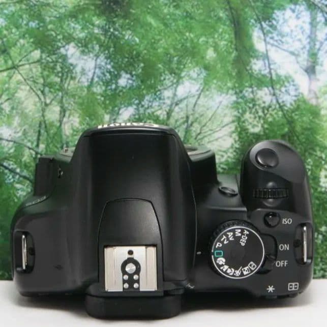 ❤シャッター数3653♪Canon Kiss X2♪スマホ転送OK&入門用❤