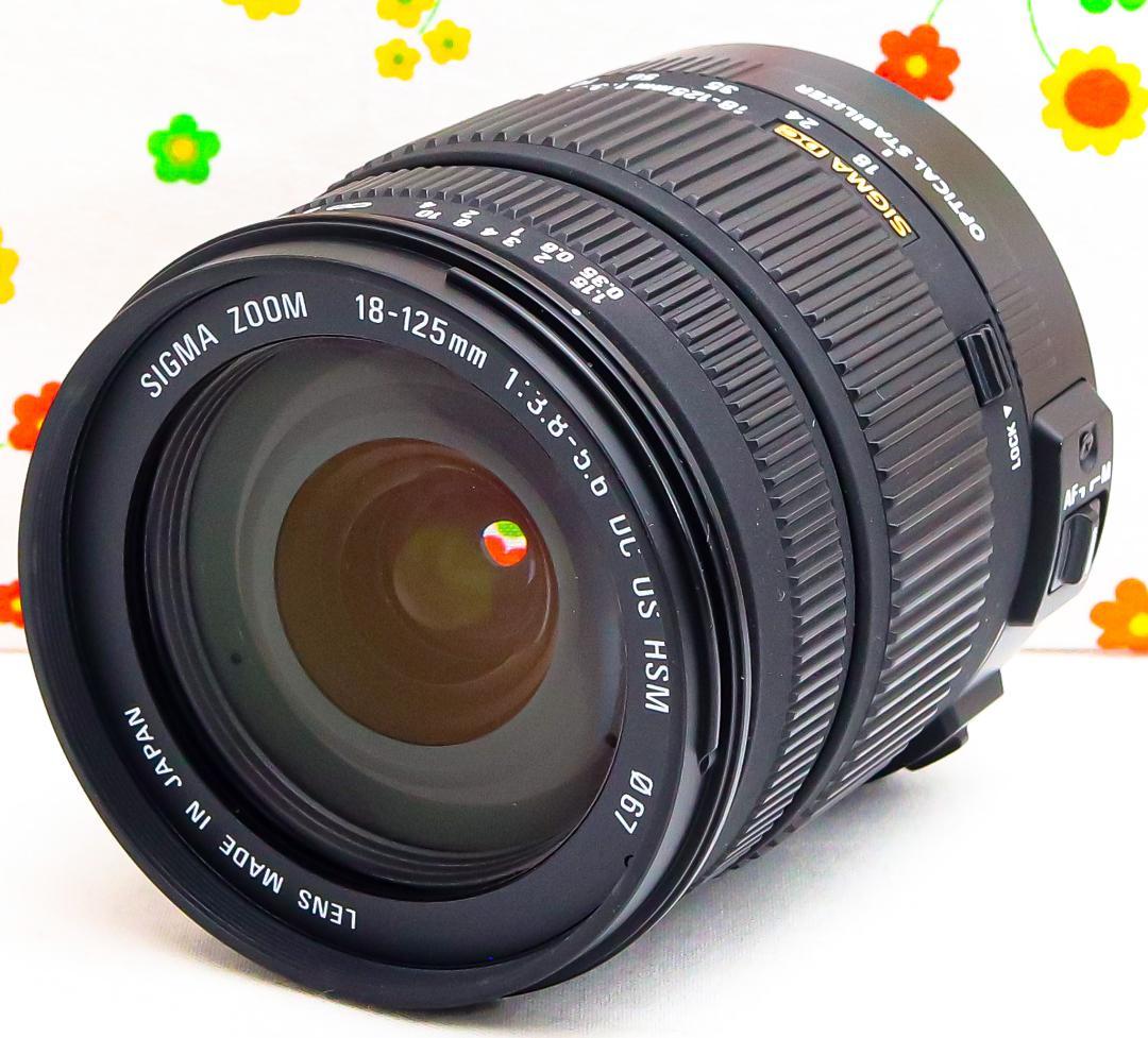 美品☆シグマ Sigma 18-125mm☆キャノン用☆これ１本あればラクラク♪