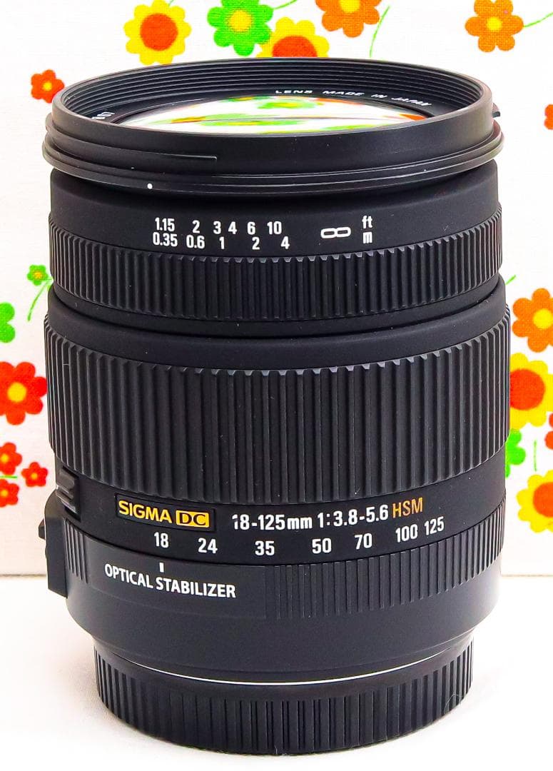 美品☆シグマ Sigma 18-125mm☆キャノン用☆これ１本あればラクラク♪
