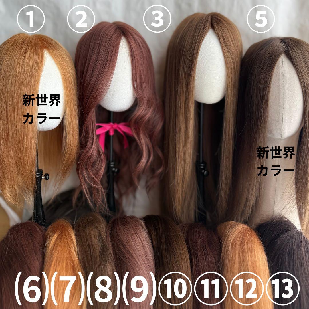 最新2026新世界調和技術　人毛100%　ウィッグ　シルクスキン　医療ウィッグ