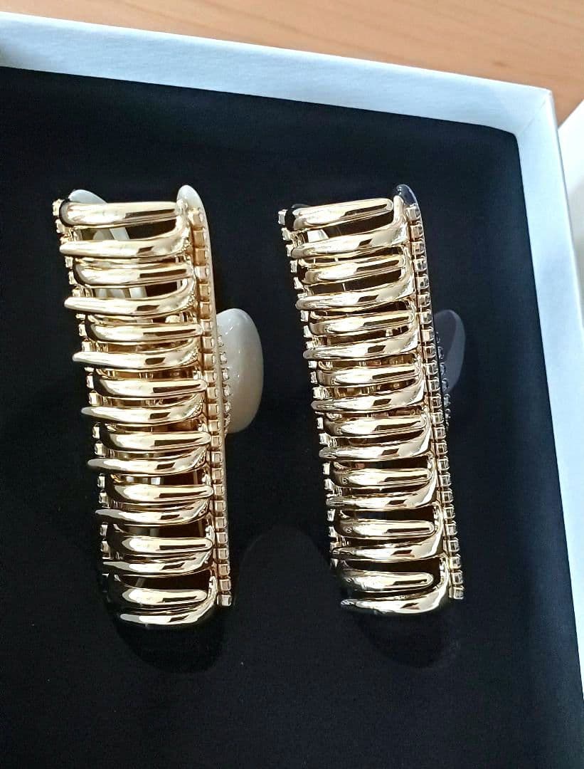 ☆限定オーダー☆accaアッカMクリップ2個セット