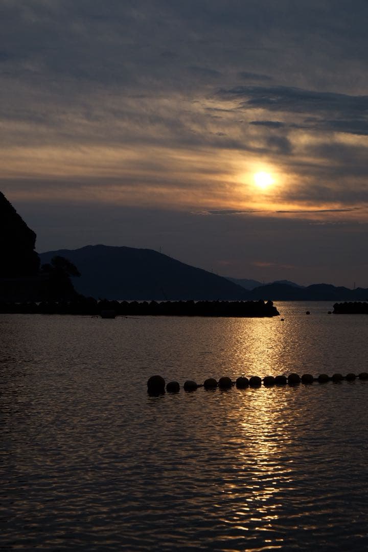 Fujifilm X-T10 ミラーレス一眼カメラXF18-55mmズームレンズ