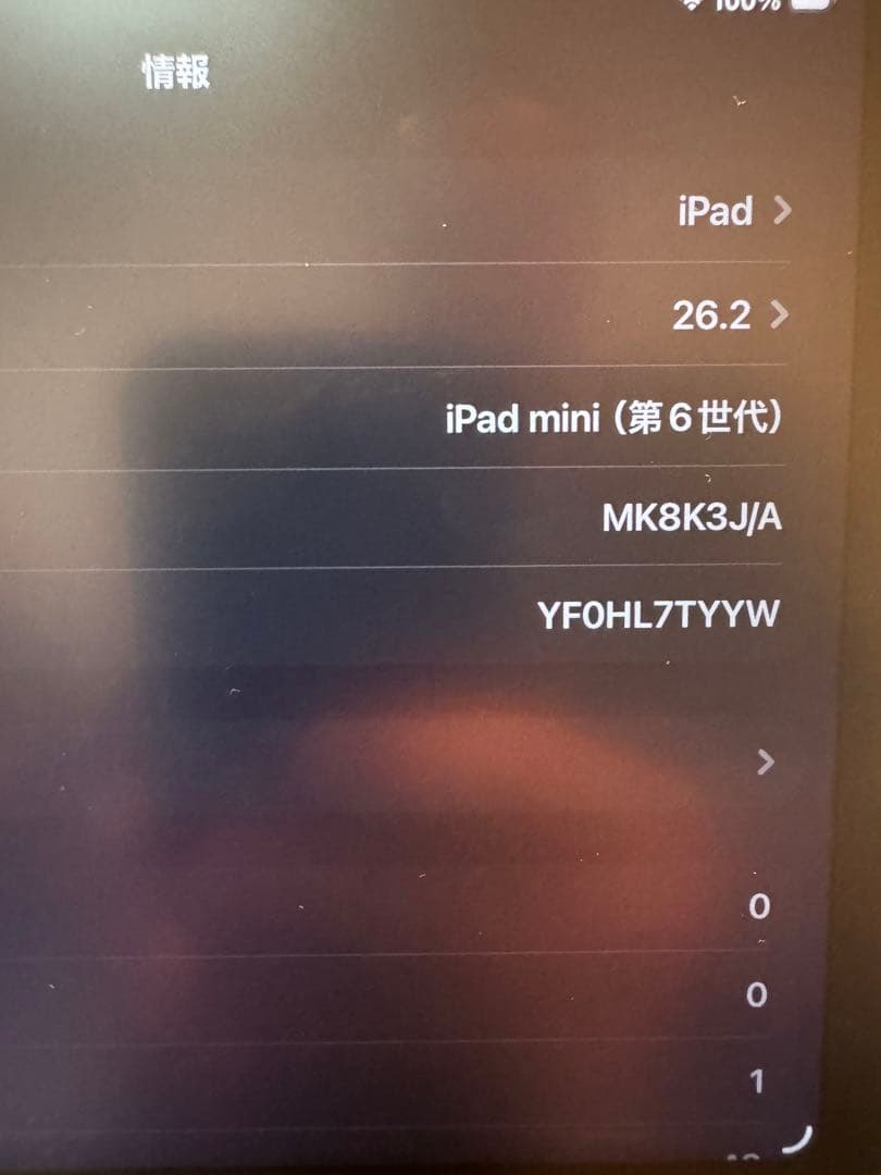 iPad mini6 cellular 256GB パープル