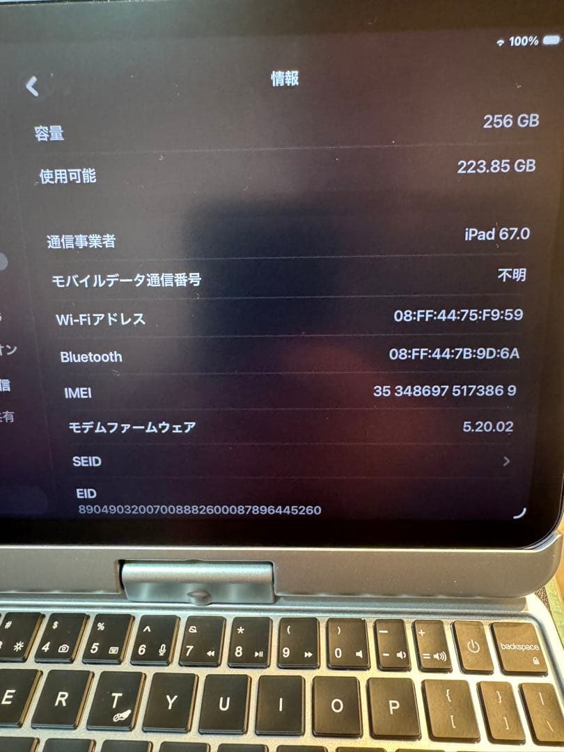 iPad mini6 cellular 256GB パープル
