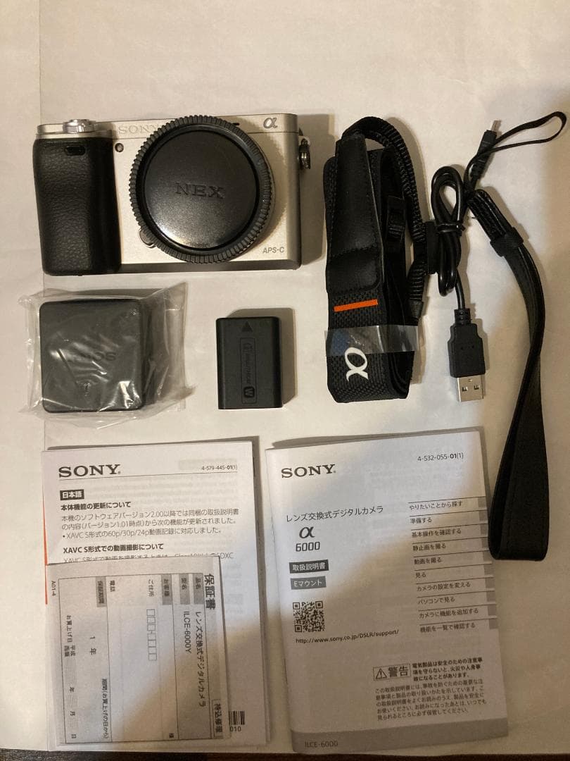 SONY α6000 + SEL30M35 単焦点レンズ + 付属品セット