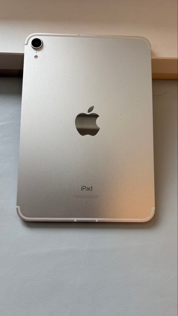 iPad mini6 Wi-Fi+Cellular 256GB Pencil箱付