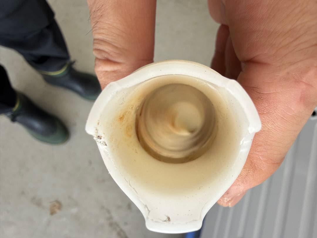 2023年式　日立 ドラム式洗濯機 本体12k BD-STX120H