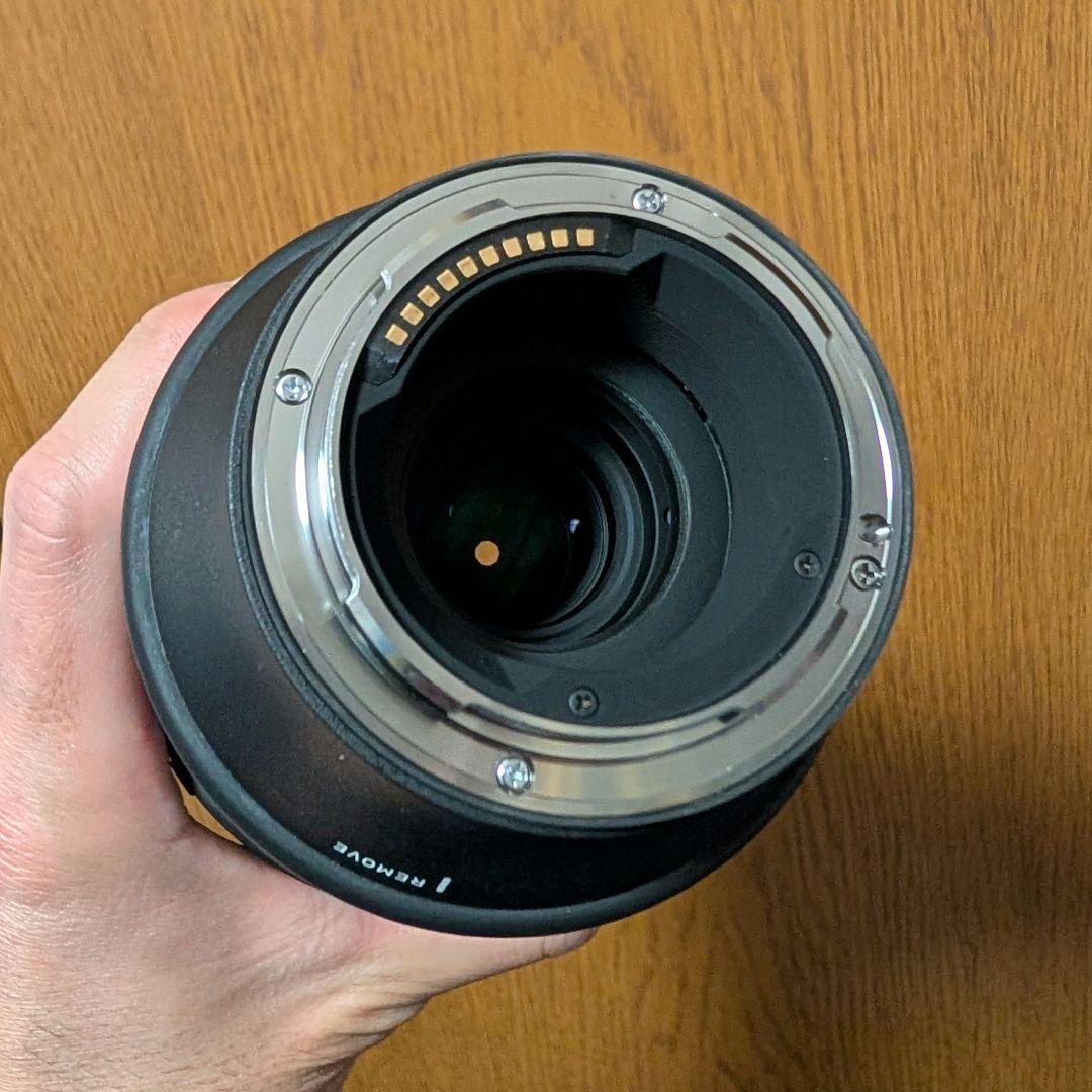 SIGMA 100-400mm F5-6.3 DG DN OS Lマウント