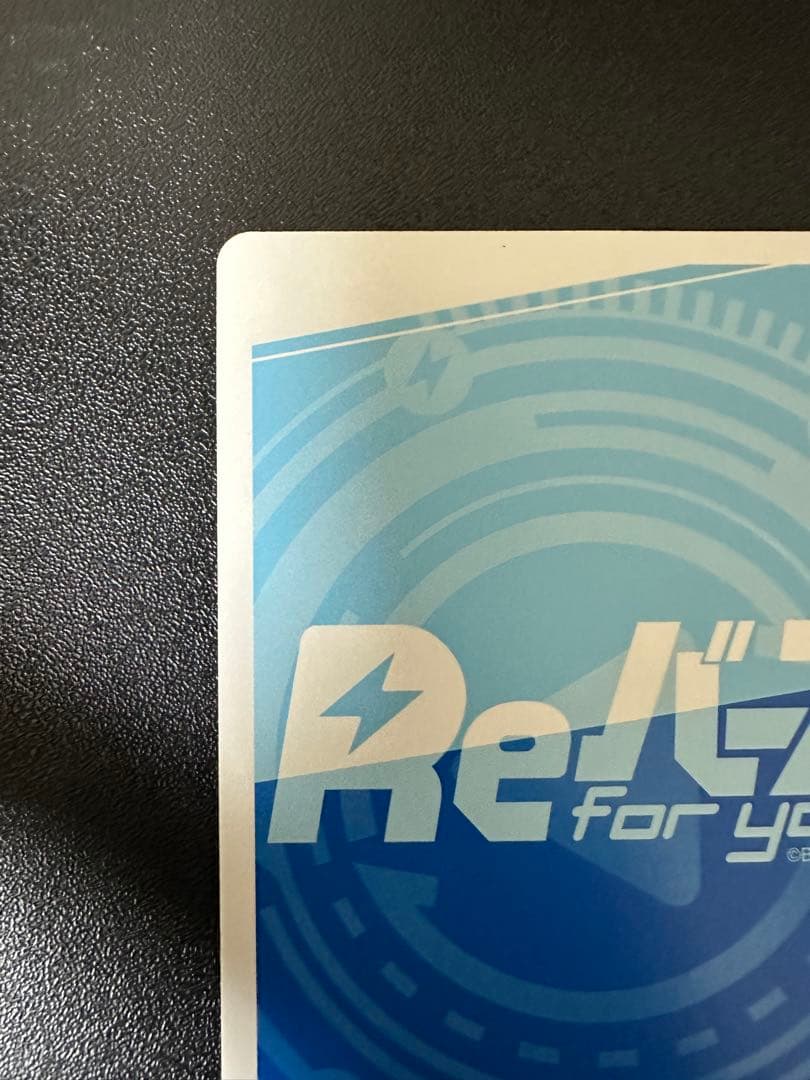 ス*カ様 Re:ゼロ レム&ラム PP