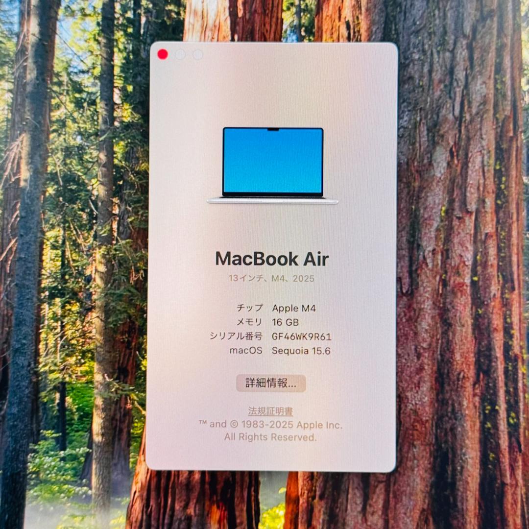 P118 未使用に近い MacBook Air M4 16GB 512GB