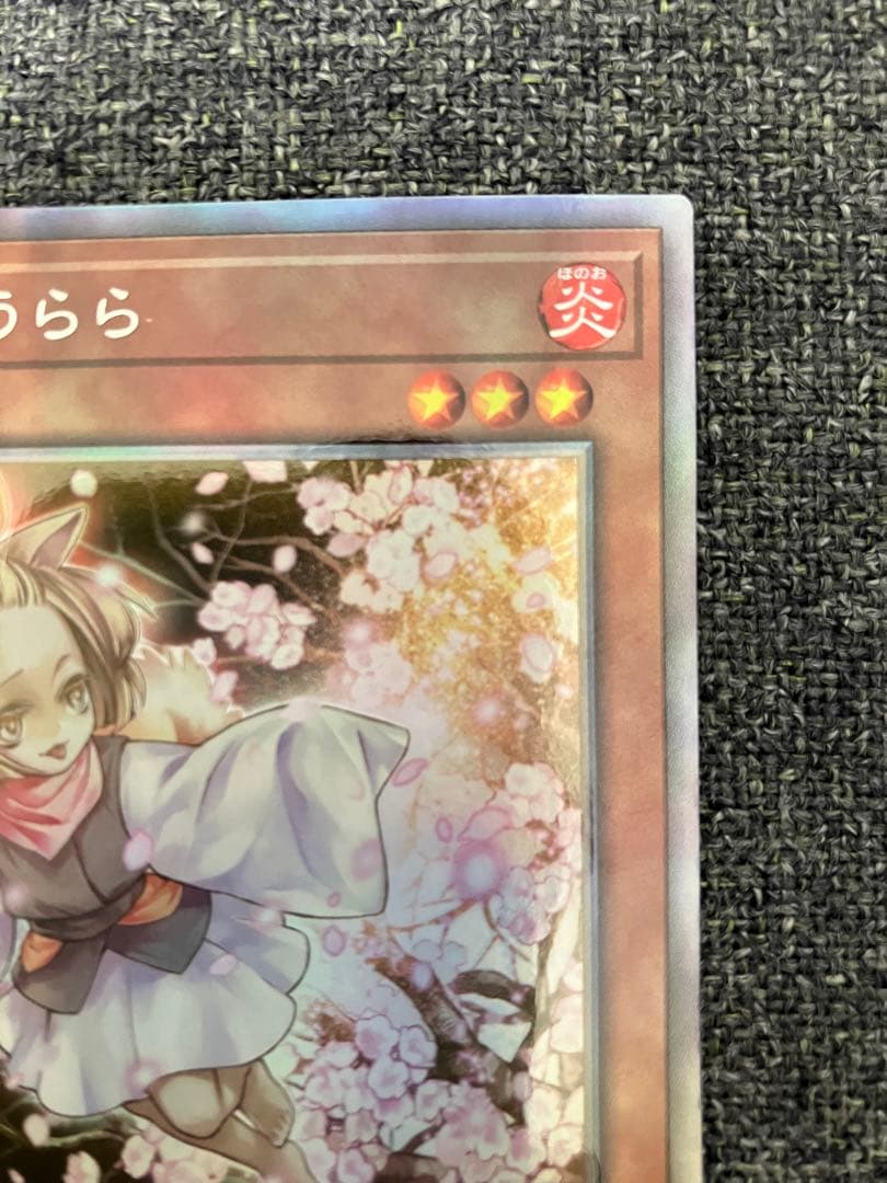 遊戯王 25th 灰流うらら ホログラフィック レアリティコレクション