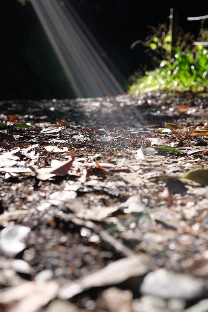 美品　TTArtisan AF 35mm f1.8 ED Xマウント