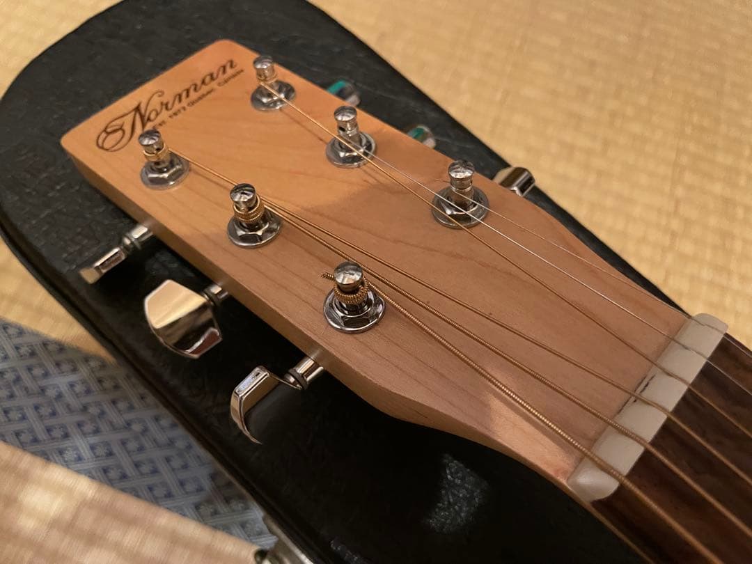 ギター Norman Expedition Nat Folk Solid Spruce