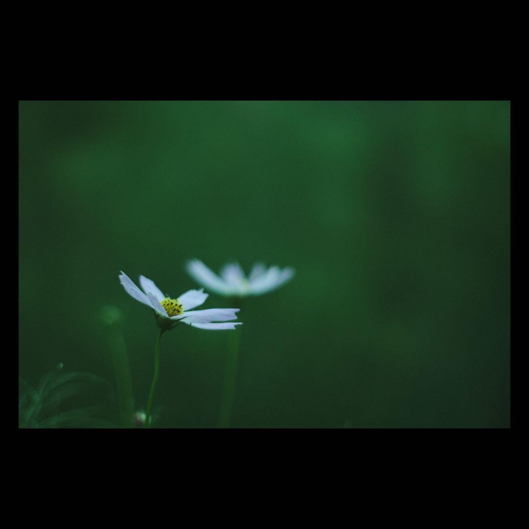 Fujifilm XH1 レンズ＆グリップ付き
