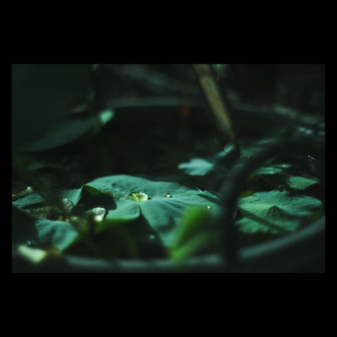 Fujifilm XH1 レンズ＆グリップ付き