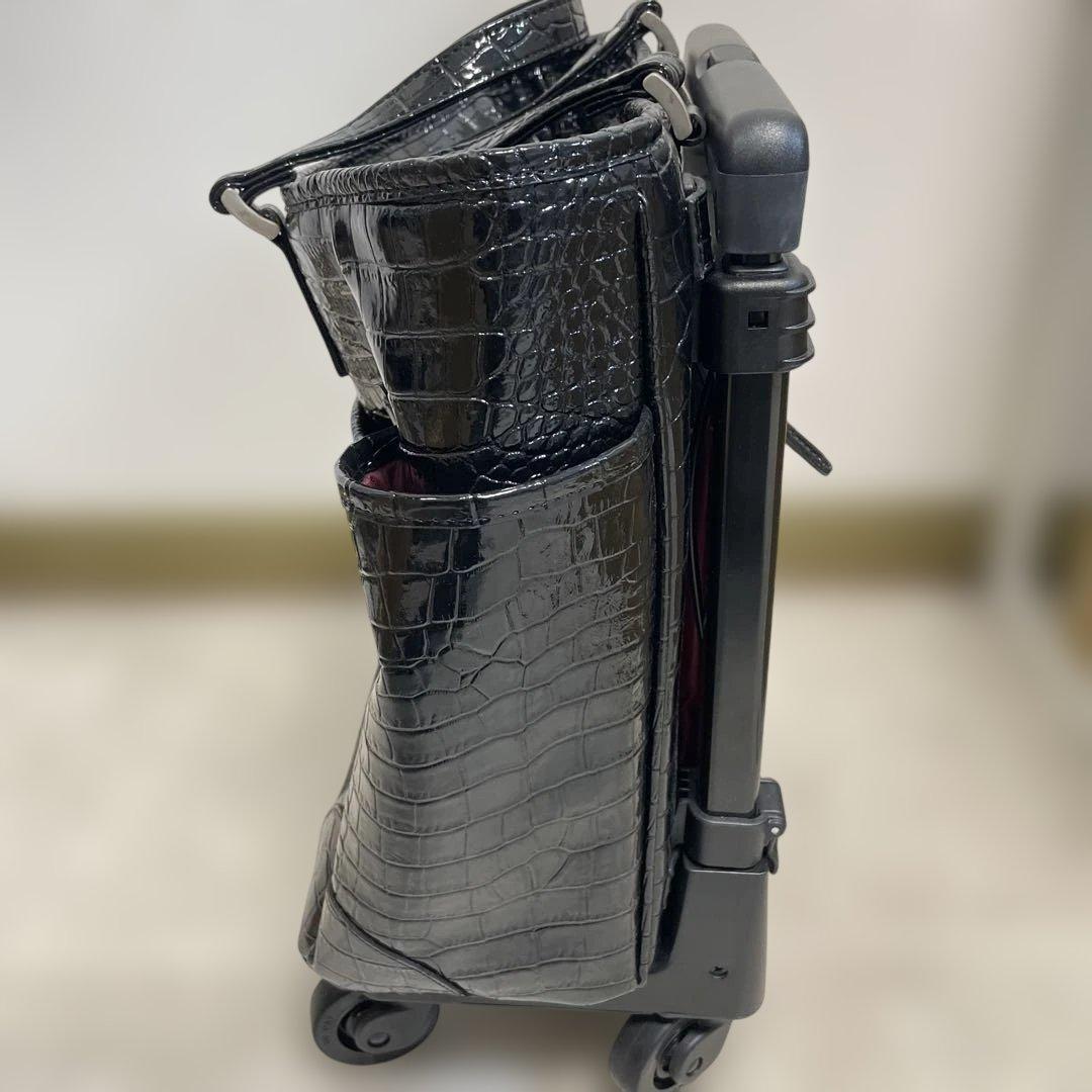 SWANY キャリーカート付きバッグ