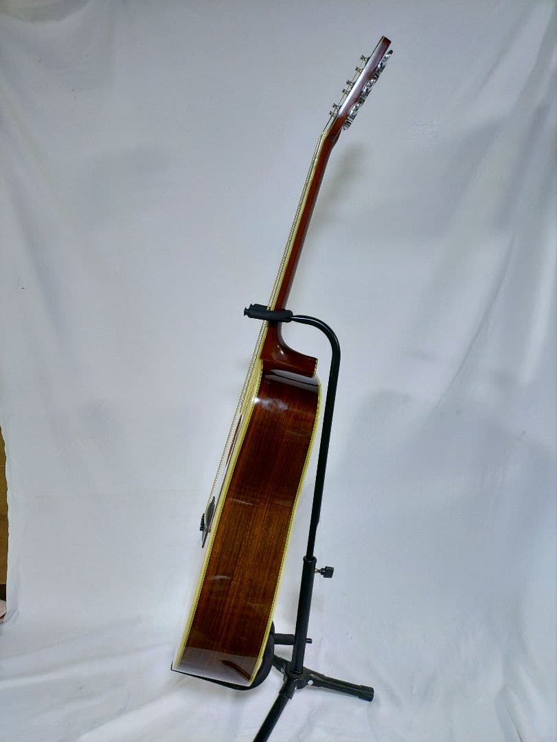 MORRIS　 SPECIAL　 TF 80 　　　製造年　不明