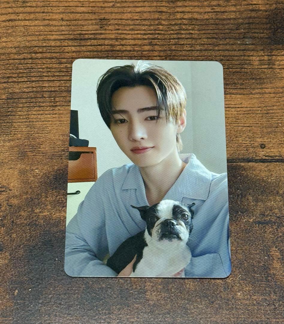 ENHYPEN 2025会報 アンケート 限定 トレカ ソンフン