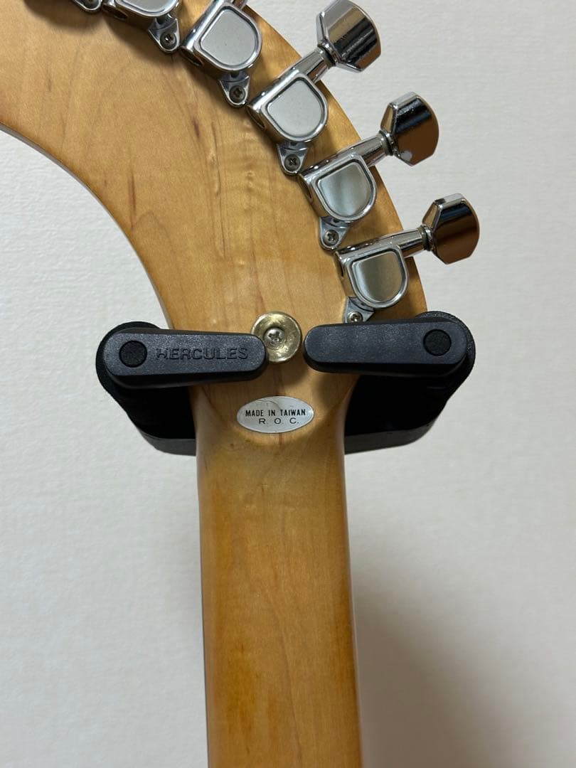 FERNANDES ZO-3 ぞーさん 純正ソフトケース付き