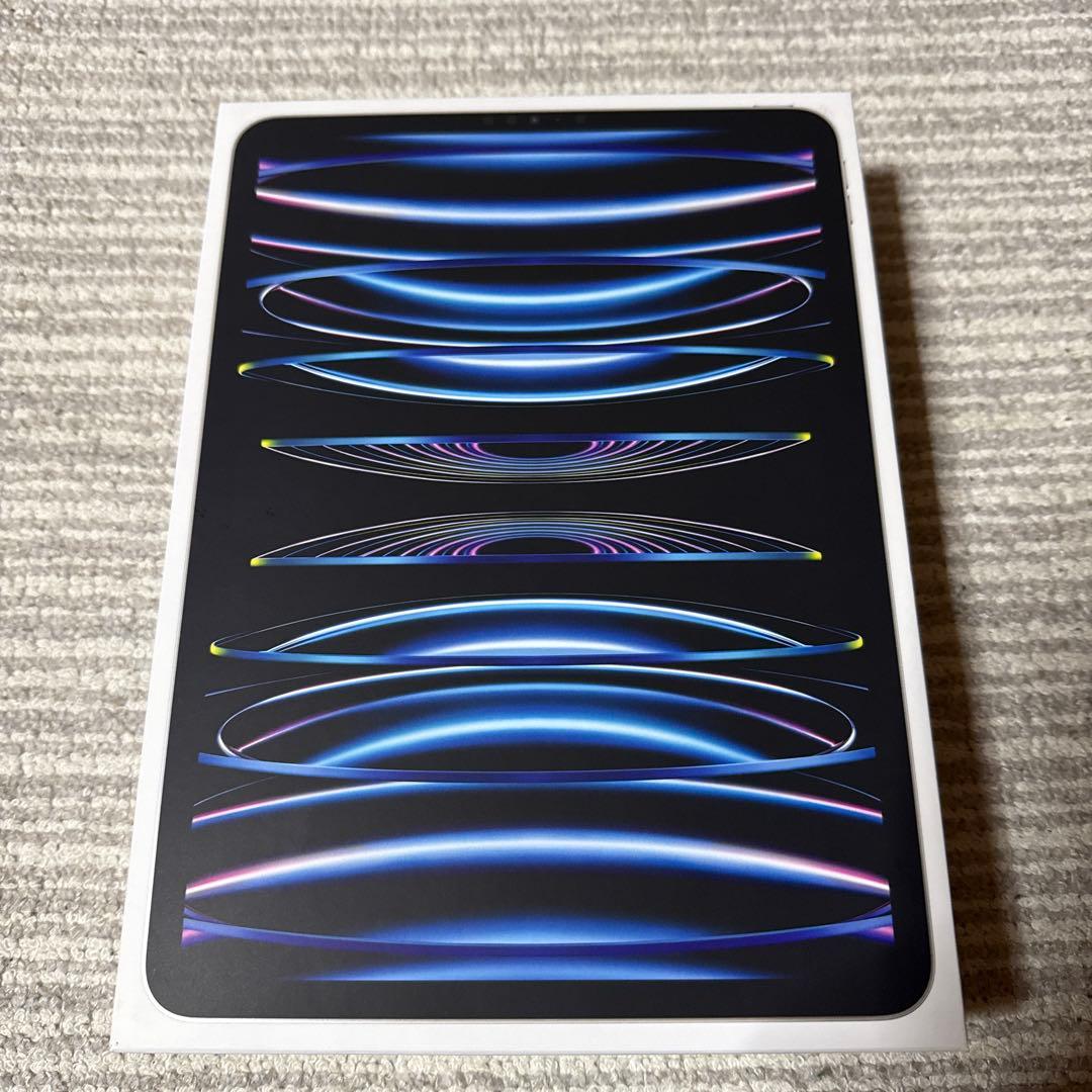 iPad Pro 第４世代11インチ本体 265GB充電器付き