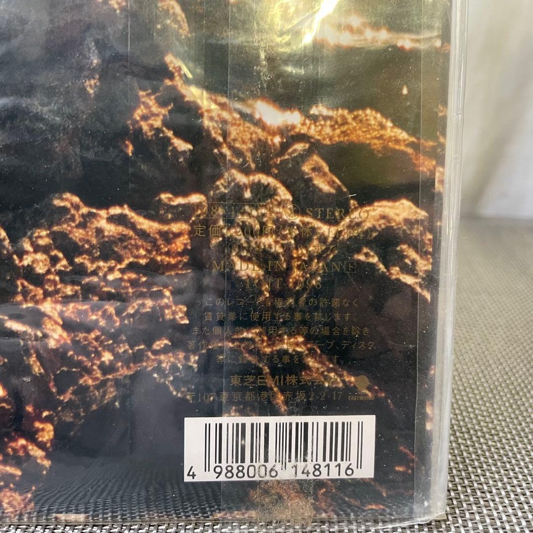 32834 小沢健二 ある光 レコード アナログ