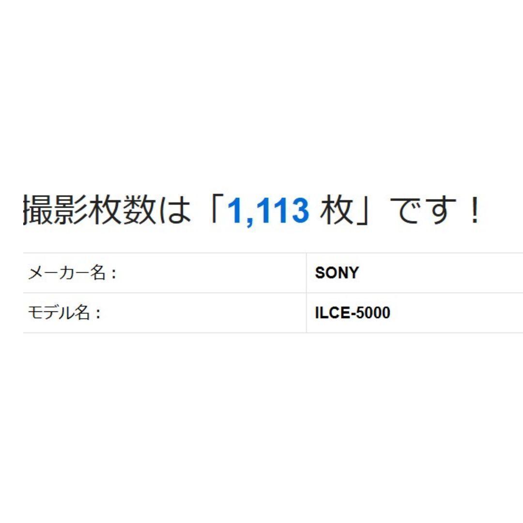 ❤即購入1000円OFF❤ ソニー α5000 美しいミラーレスを手のひらに。