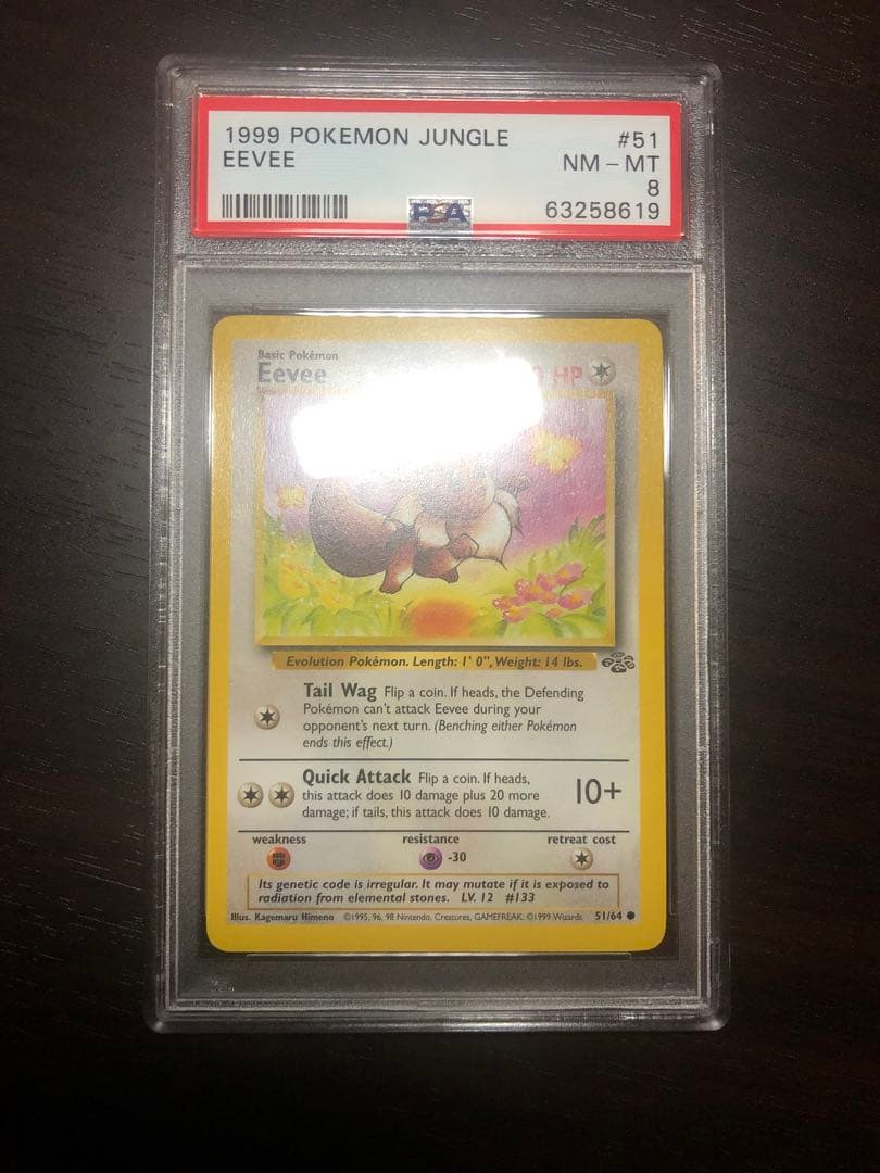 【PSA8】旧裏　がんばイーブイ　Eevee　英語版　ポケモンカードゲーム
