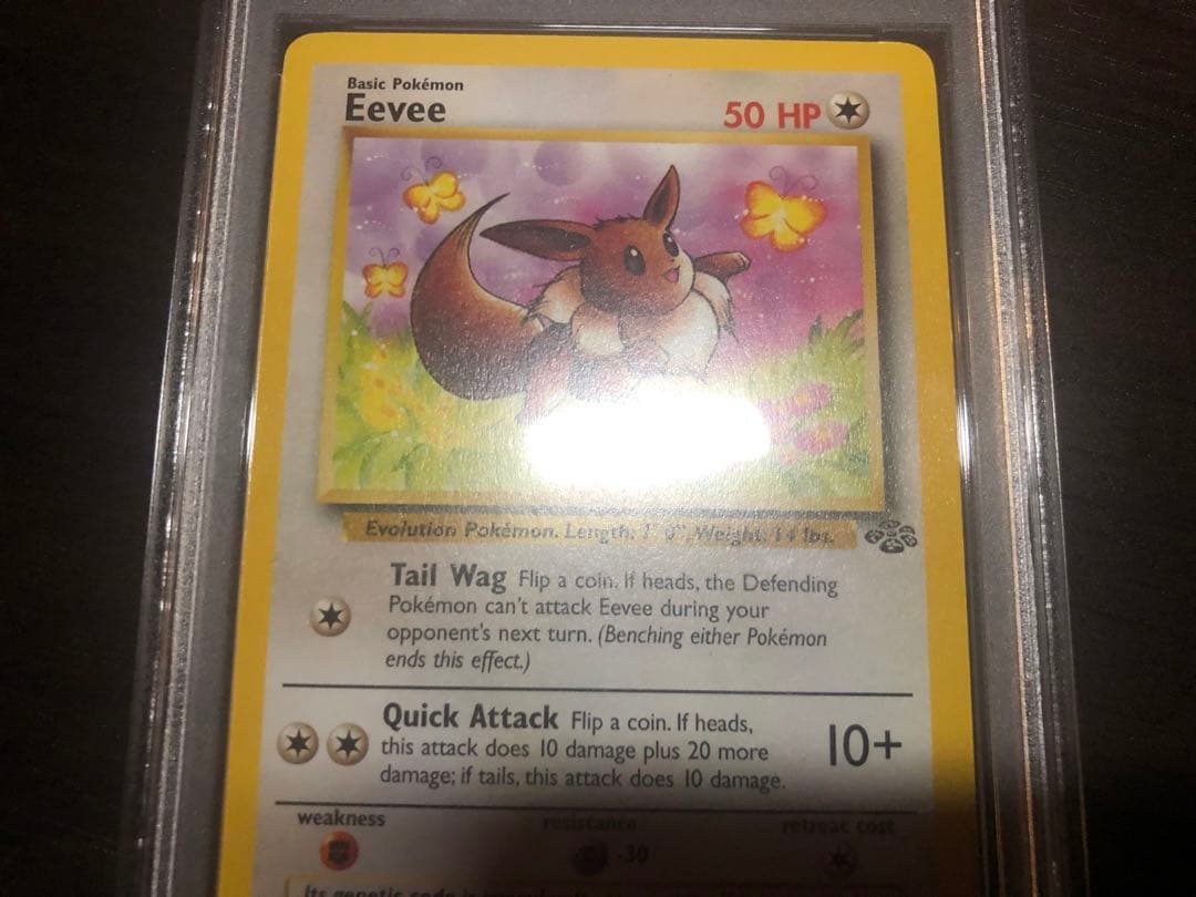 【PSA8】旧裏　がんばイーブイ　Eevee　英語版　ポケモンカードゲーム