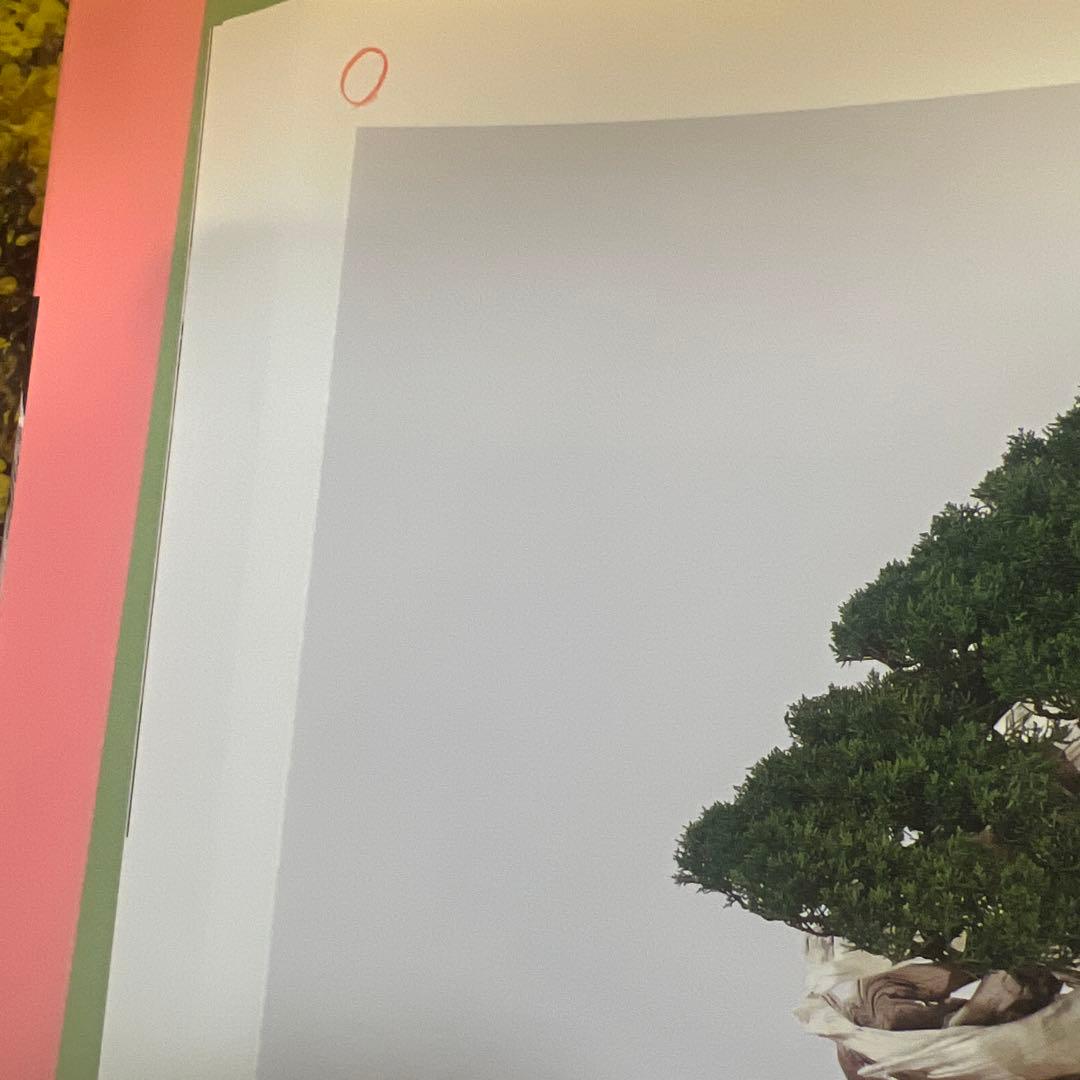 国風盆栽展　第76回〜90回　15冊セット