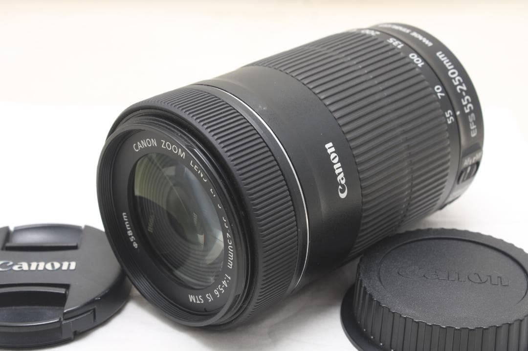 キヤノン EF-S 55-250mm F4-5.6 IS STM 2698