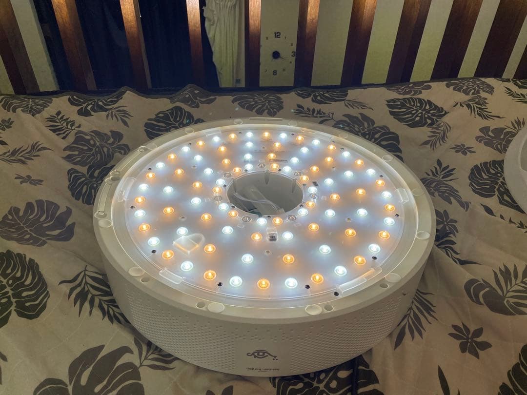 Aladdin X2 Plus (マイゴさん)