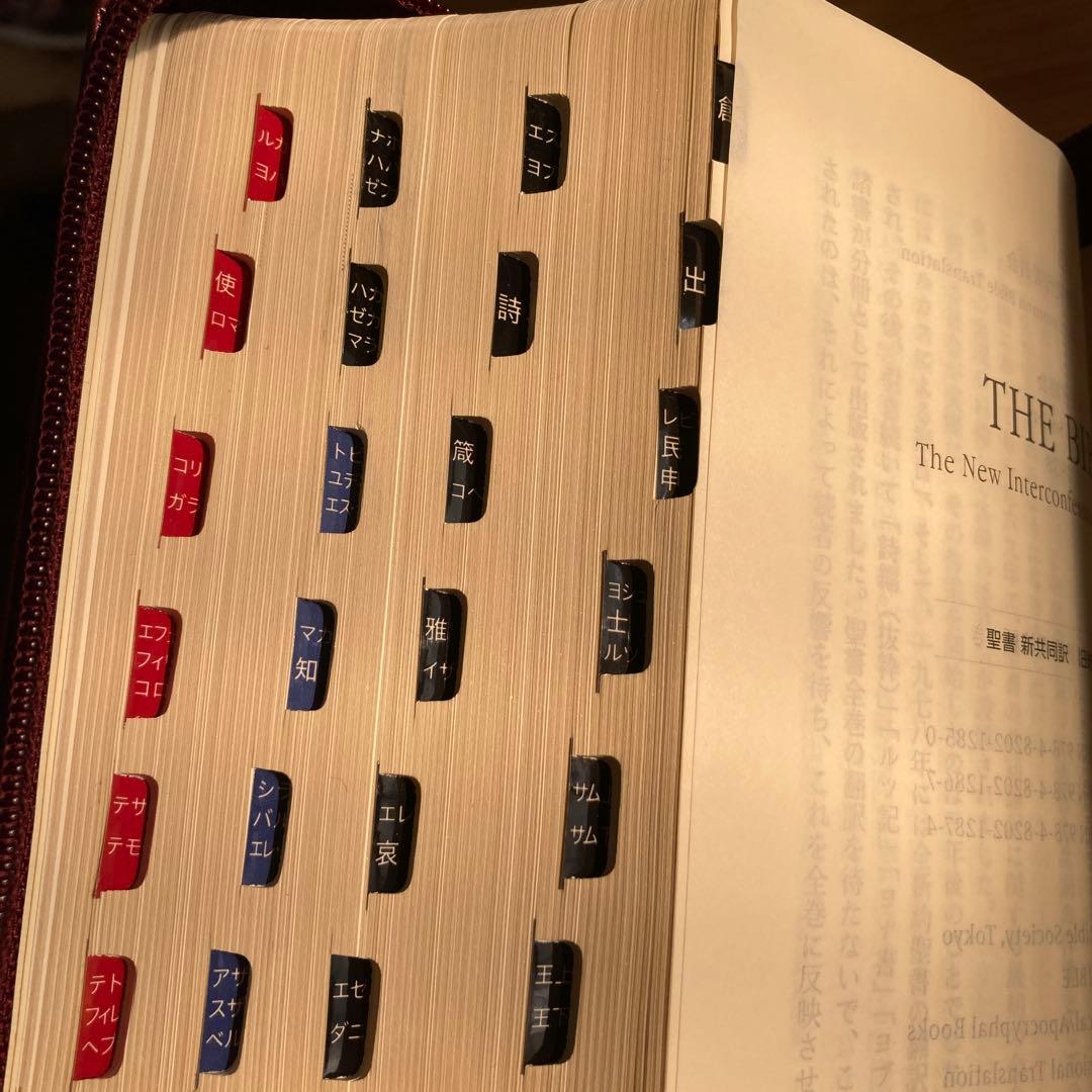 聖書　新共同訳　旧約聖書続編つき　ジッパーケース付き