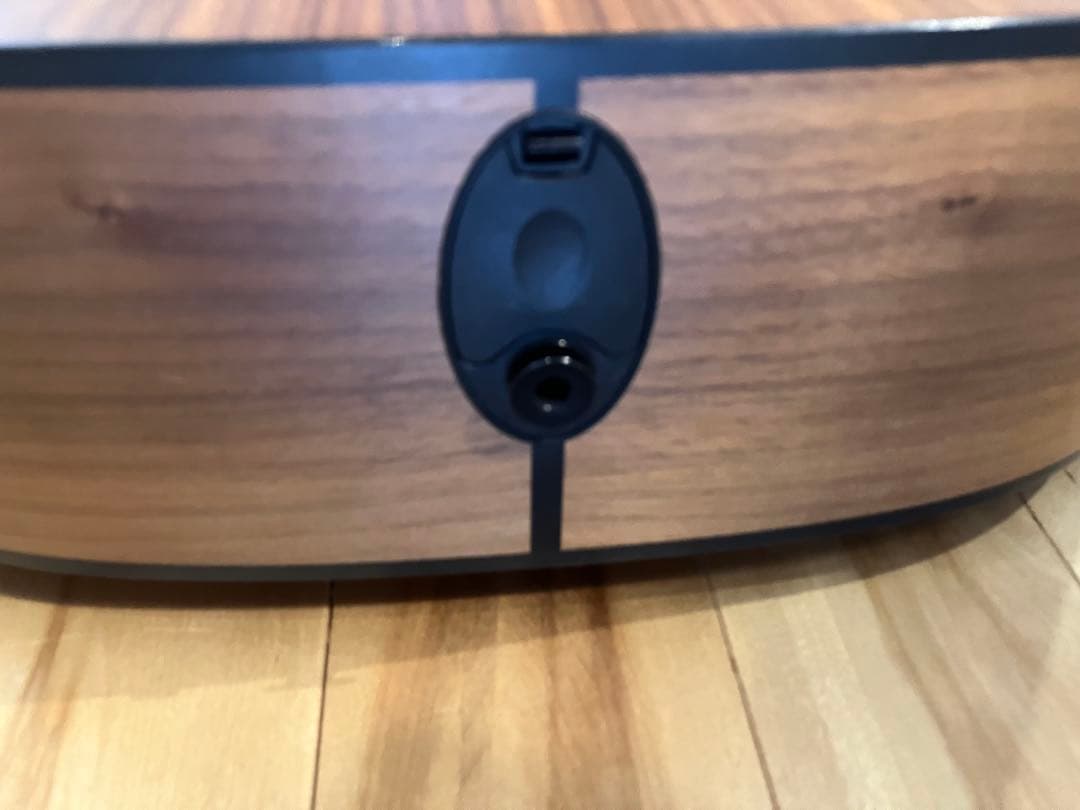 ドラゴンボール様【調整必要】Taylor 110e アコースティックギター