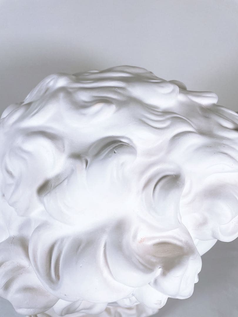 【良品】 石膏像 メディチ 胸像 顔 美術 スケッチ インテリア