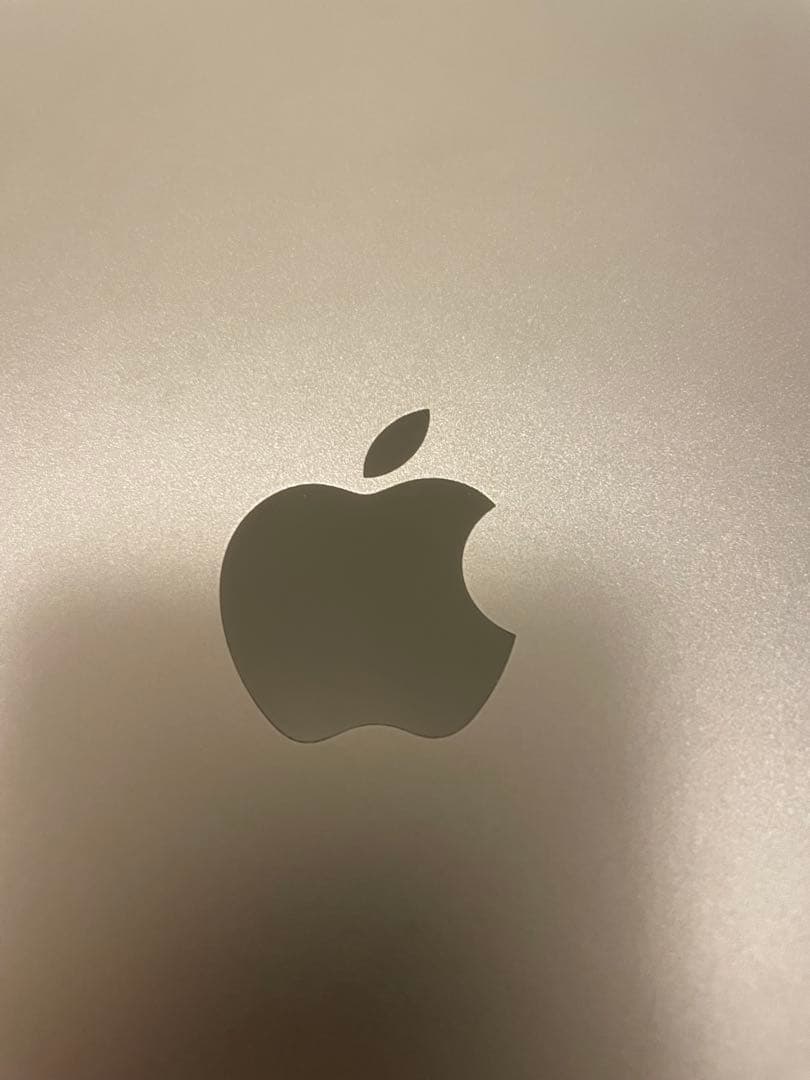 iPad Pro 11インチ 第4世代 256GB バッテリー100％