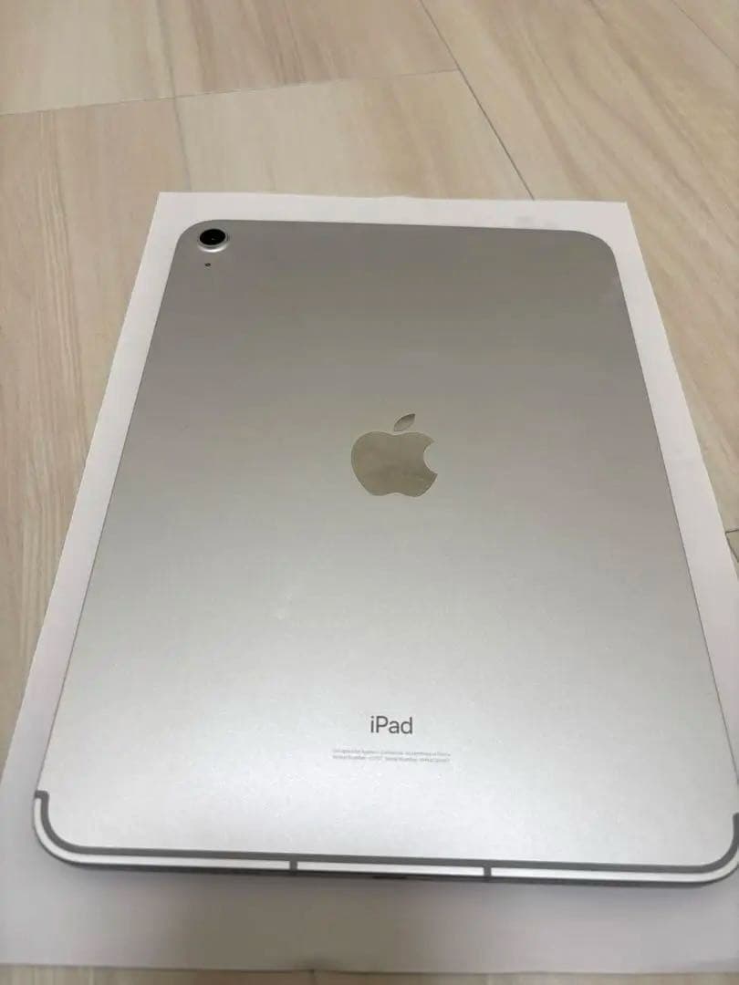 iPad 第10世代 256GB 本体 シルバー