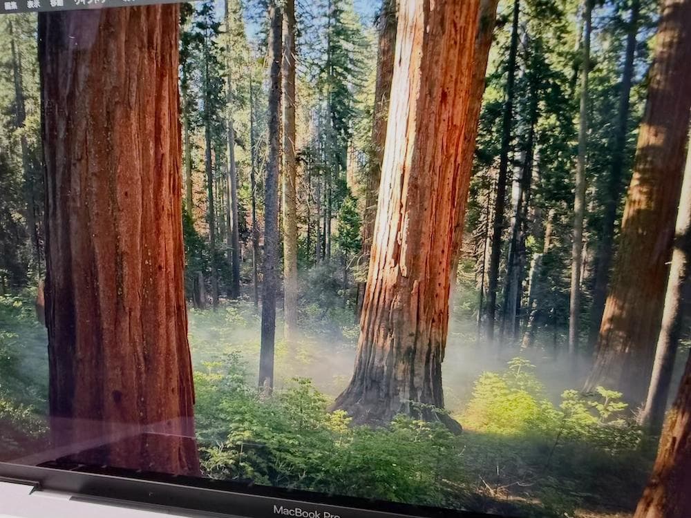 MacBook Pro M1チップ 13インチ シルバー 512GB SSD