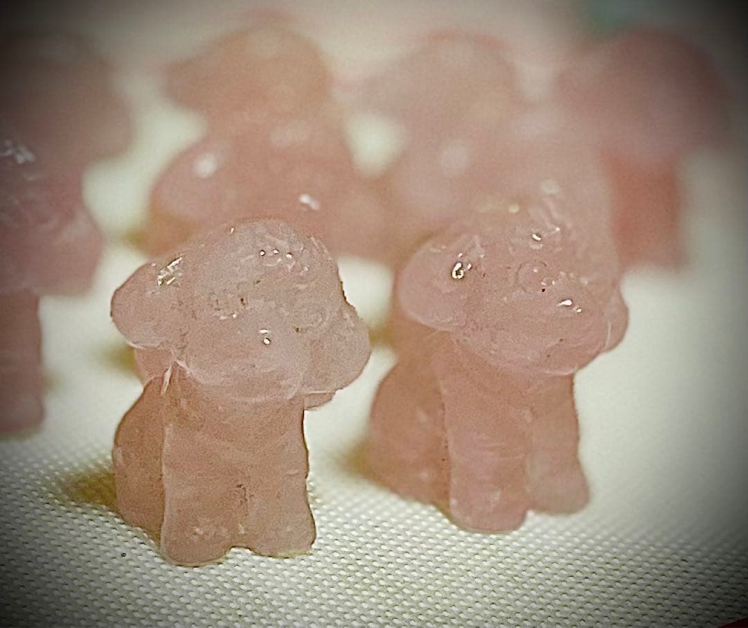 ジャスミンさん専用♡プードル