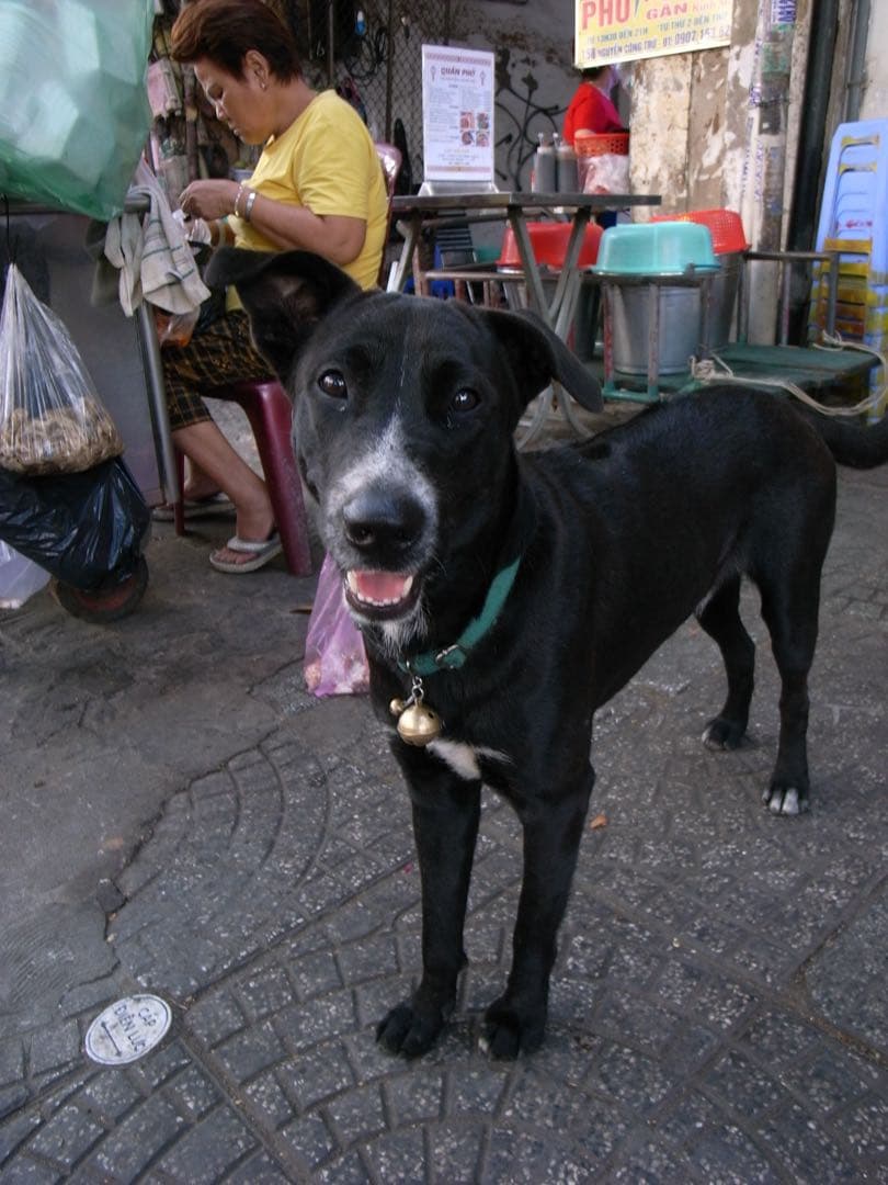 GR DIGITAL ii 値下げしました