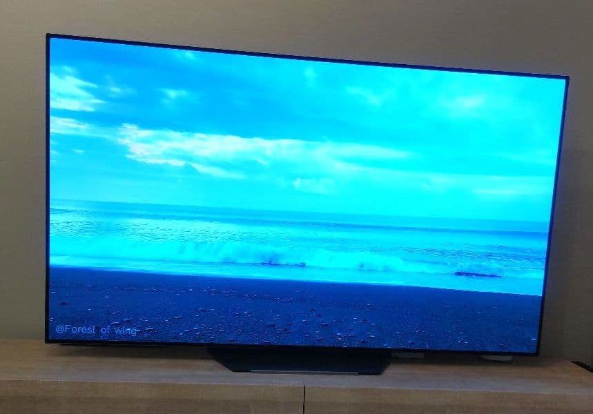 LG OLED65B9PJA 65インチテレビ