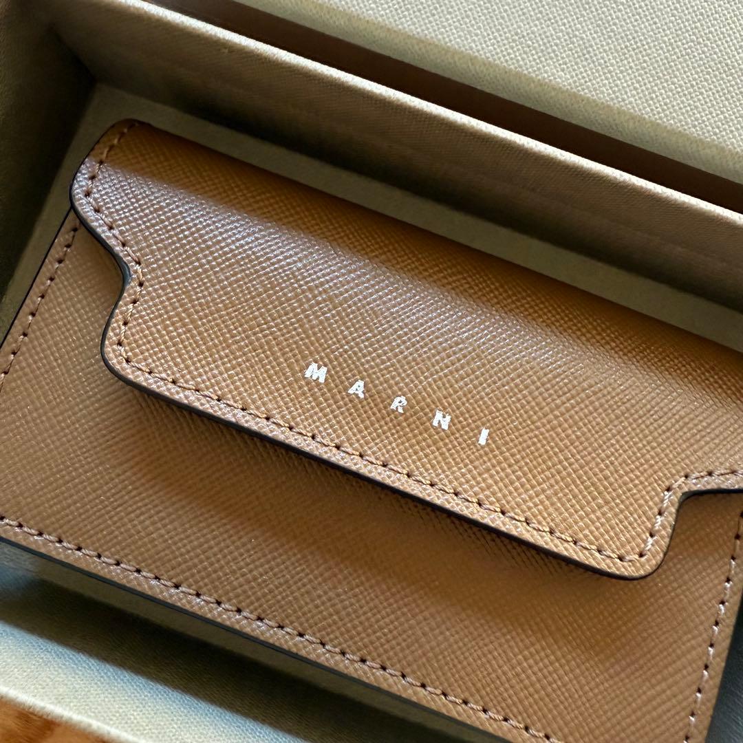 3月末までの出品！美品！公式販売終了カラー　マルニ　カードケース　名刺入れ