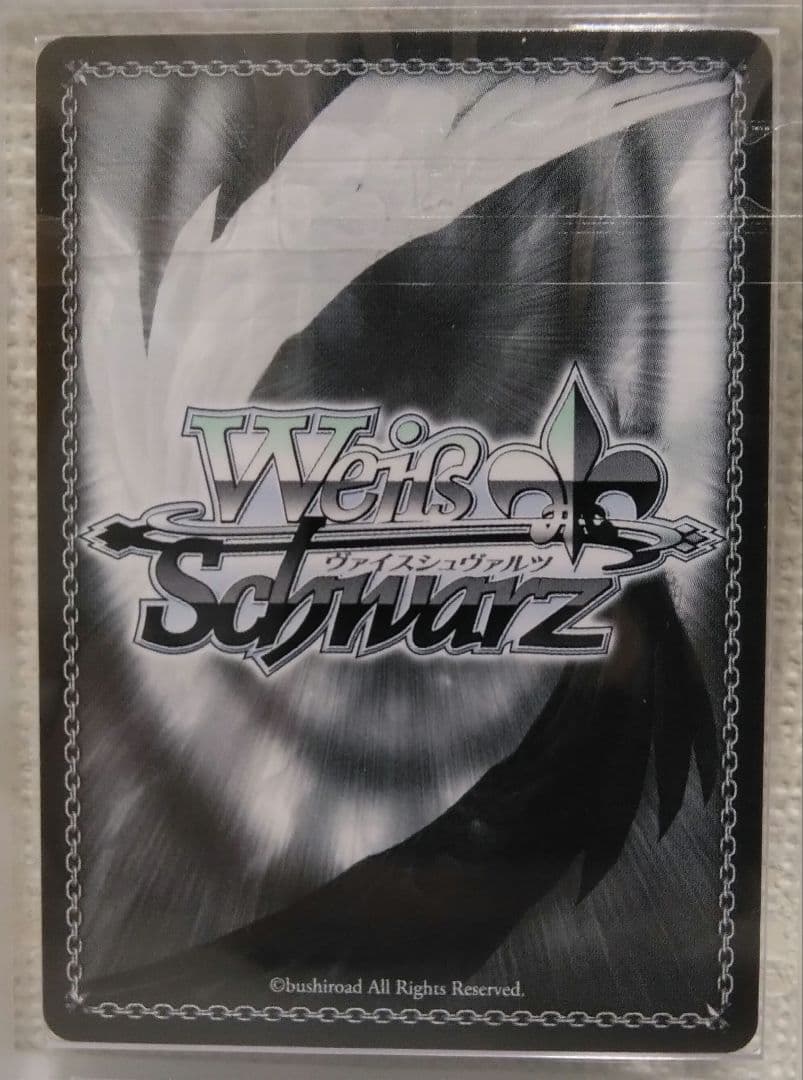 時々ボソッとロシア語でデレる隣のアーリャさん ヴァイスシュヴァルツ