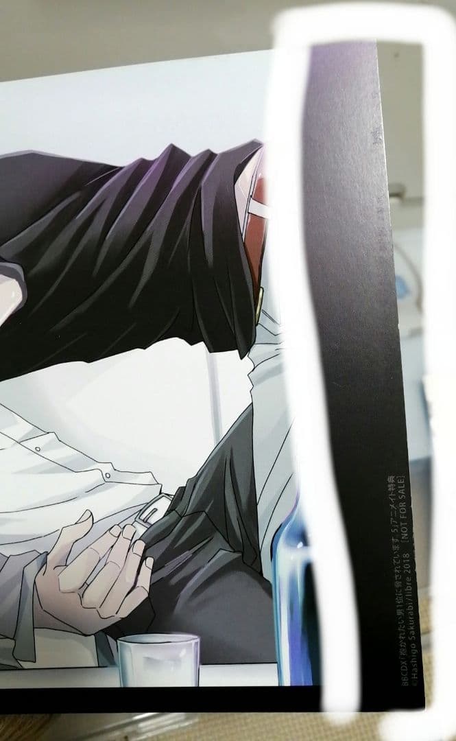 抱かれたい男一位に脅されています　だかいち　小冊子　ブックレット　リーフレット