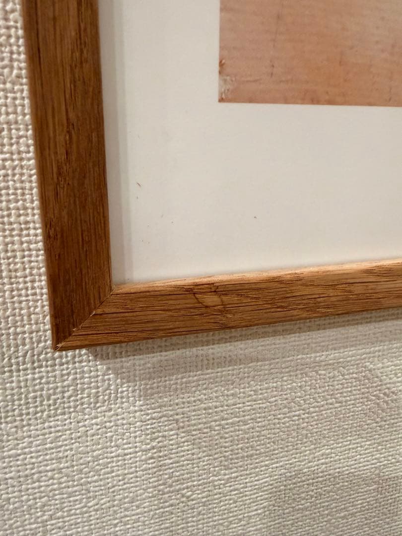 デンマーク THE POSTER CLUB ポスター BLOOM 50x70 額