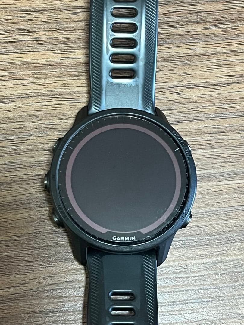 GARMIN FORERUNNER 955 DualPowerブラック